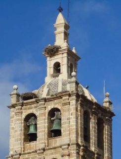 Campanario de Santa María. - Autor: FERNÁNDEZ LOZANO, Pedro