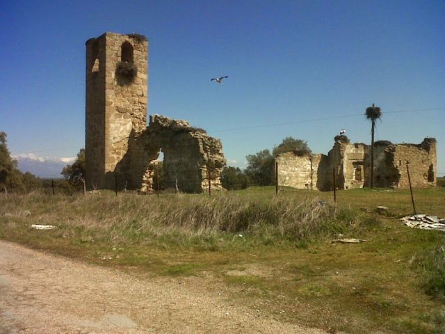 Ruinas de San Gregorio (Iglesia de Santa María de la Mata) - Autor: FERNÁNDEZ, Yolanda